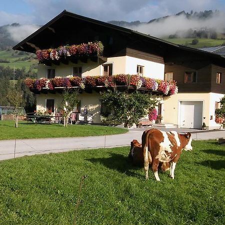 Rieserhof/Fam. Meissnitzer Taxenbach Exterior photo